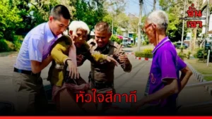 หัวใจสีกากี