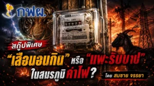“เสือนอนกิน” หรือ “แพะรับบาป” ในสมรภูมิค่าไฟ?